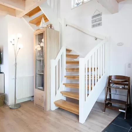 Seehund 1 Süssauer Ferienhaus Süssau