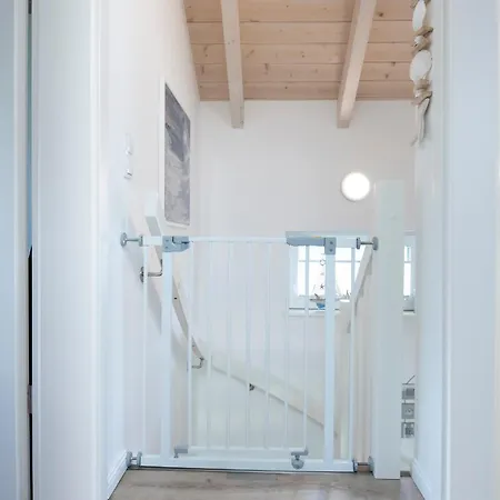Seehund 1 Süssauer Ferienhaus