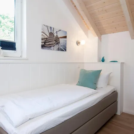 Seehund 1 Süssauer Ferienhaus