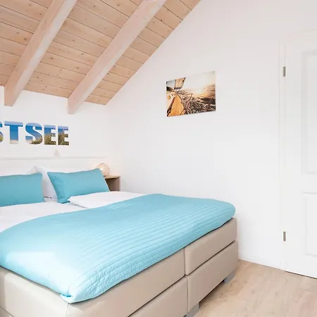 Seehund 1 Süssauer Ferienhaus Süssau