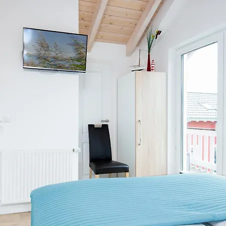 Seehund 1 Süssauer Ferienhaus