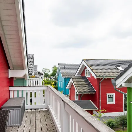 Seehund 1 Süssauer Ferienhaus