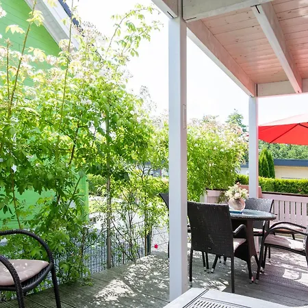 Seehund 1 Süssauer Ferienhaus